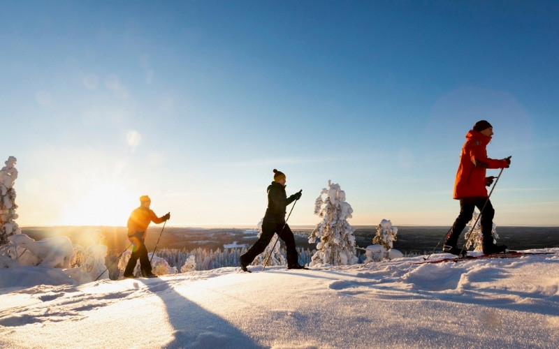 Koli Safaris - Koe Koli kaikessa rauhassa