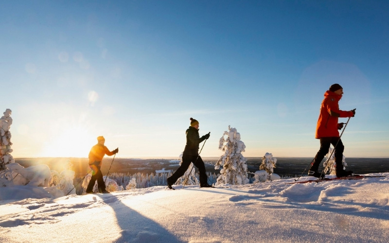 Koli Safaris - Koe Koli kaikessa rauhassa