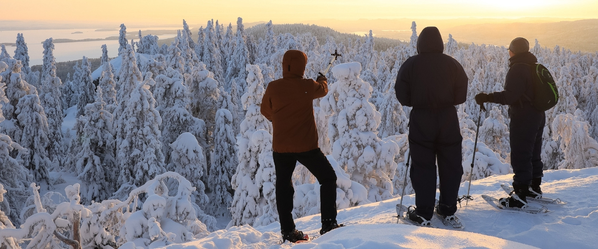 Molentum Oy | Laadukkaat kotisivut ja verkkokaupat yritykselle