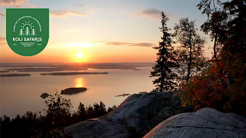 Koli Safaris